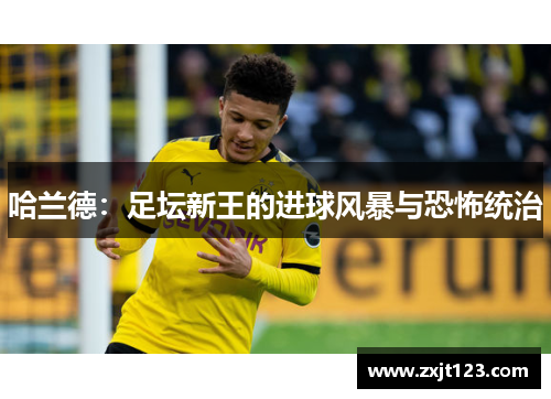 哈兰德：足坛新王的进球风暴与恐怖统治