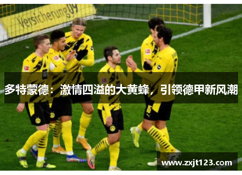 多特蒙德:激情四溢的大黄蜂,引领德甲新风潮 多特蒙德:激情四溢的大黄蜂,引领德甲新风潮